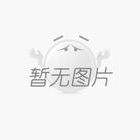 1軸線(xiàn)性模組